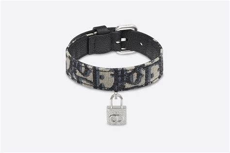 dog dior|expensive dog collar.